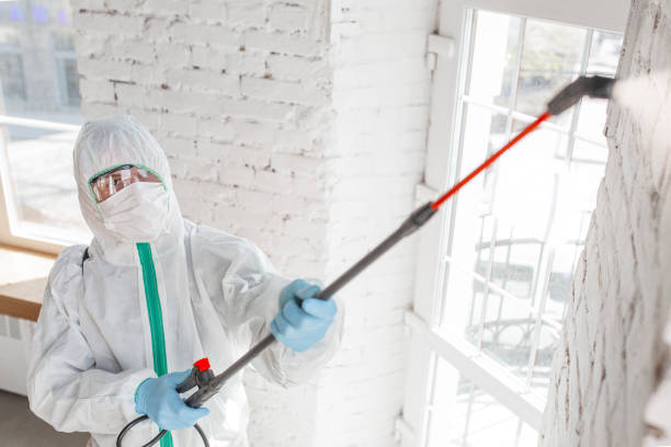 Best Mold Removal for HVAC Installations  in Magnolia, NJ