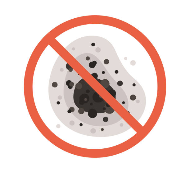 Best Mold Documentation for Insurance Claims  in Magnolia, NJ