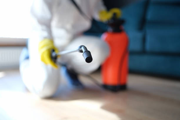 Best Industrial Mold Remediation  in Magnolia, NJ